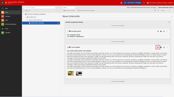 Bildschirmansicht eines Content-Management-Systems (CMS). Links sind verschiedene Menüoptionen aufgelistet. In der Mitte ist ein Texteditor sichtbar, der eine Überschrift und einen erläuternden Text über ein Thema enthält. Der Text behandelt Erfahrungen und Empfindungen mit Schmerz.