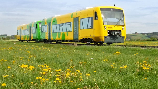 A bright yellow train with a green design travels along a railway amidst a field of dandelions. The landscape features lush grass and a tree in the background, suggesting a rural setting under a partly cloudy sky.