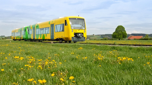 A bright yellow train with a green design travels along a railway amidst a field of dandelions. The landscape features lush grass and a tree in the background, suggesting a rural setting under a partly cloudy sky.