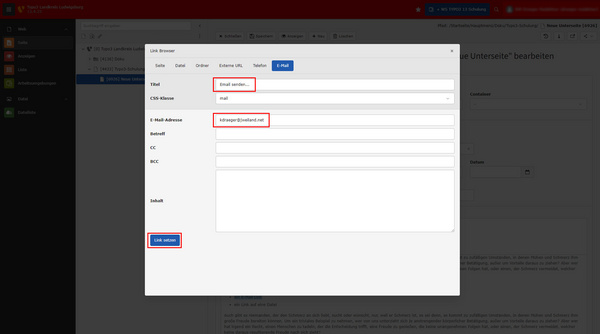 Ein Bildschirmfoto eines Link-Editors zeigt ein geöffnetes Fenster mit Feldern für den Linktyp, CSS-Klasse, E-Mail-Adresse und eine Schaltfläche "Link erstellen". Wichtige Informationen sind die Eingabe "E-Mail senden" und die erwähnte E-Mail-Adresse "manager@domain.at".
