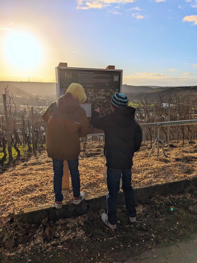 Zwei Kinder stehen in einem Weinberg, betrachten ein Informationsschild über den Weinbau. Die Sonne scheint im Hintergrund, und die Landschaft mit Reben ist sichtbar. Die Kinder tragen Jacken und Mützen.