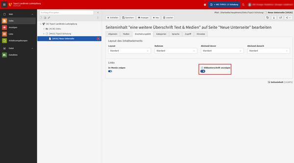 Einstellung zur Bearbeitung einer Seite im Typo3-Backend. Der Bildschirm zeigt Optionen zur Layout-Anpassung, einschließlich Abständen und Links. Der Titel der Seite lautet "Dringen notwendig". Links befinden sich Navigationspunkte und eine Schaltfläche zum Speichern.