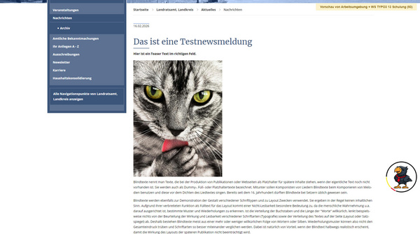 The image displays a website section titled "Press Releases," featuring various articles. The main topics include an art exhibition, a welcome address from a local official, and an educational event in a district. Each article has a "Read more" button for further details.