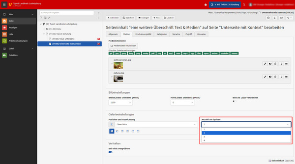 Die Abbildung zeigt eine Benutzeroberfläche zur Bearbeitung von Seiteneinhalten in einem Websystem. Auf der linken Seite sind Menüpunkte sichtbar, während im Hauptbereich Formularfelder zur Eingabe von Text und Medieninhalten angezeigt werden. Oben steht eine Überschrift zur Seite.