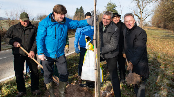 A group of five people participates in a tree planting activity beside a road. One person plants a young tree, while others observe and assist, promoting environmental awareness and community involvement. The scene is set in a rural area with grassy surroundings and trees in the background.