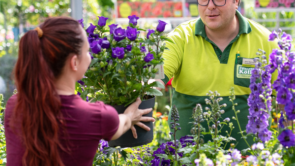 Ein Mitarbeiter eines Gartencenters übergibt einer Kundin einen Topf mit lila Blumen. Hinter ihnen sind viele bunte Pflanzen und Blumen zu sehen. Das Bild vermittelt eine freundliche Atmosphäre des Floristik- und Gartenhandels.