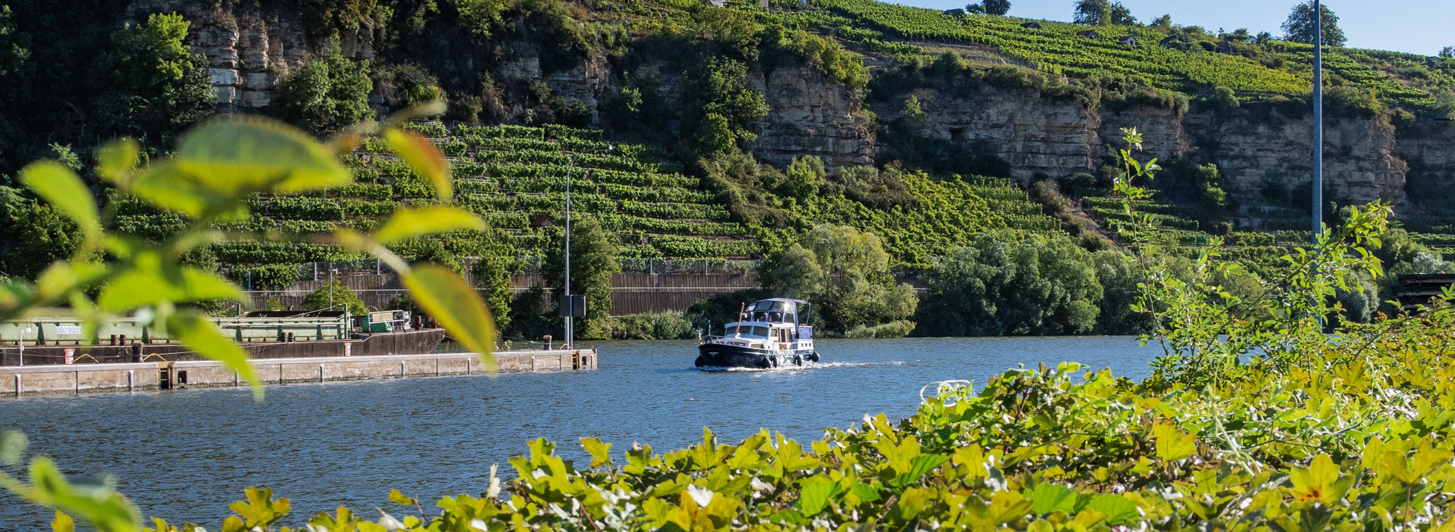 Ein Boot fährt auf einem ruhigen Fluss, umgeben von Weinbergen und bewaldeten Hügeln. Die Sonne scheint klar auf die Landschaft, während das Wasser sanft plätschert. Grüne Pflanzen im Vordergrund rahmen die Szene ein.