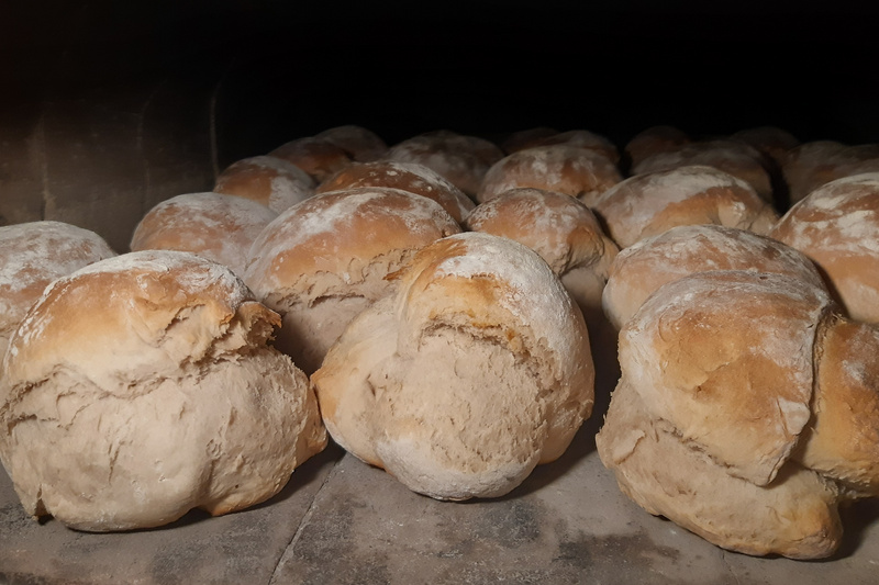 Eine Ansammlung von frisch gebackenen Brötchen, die leicht bemehlt sind und in einem Backofen liegen. Die Brötchen haben eine goldene Kruste und sind unregelmäßig geformt. (Text KI generiert)