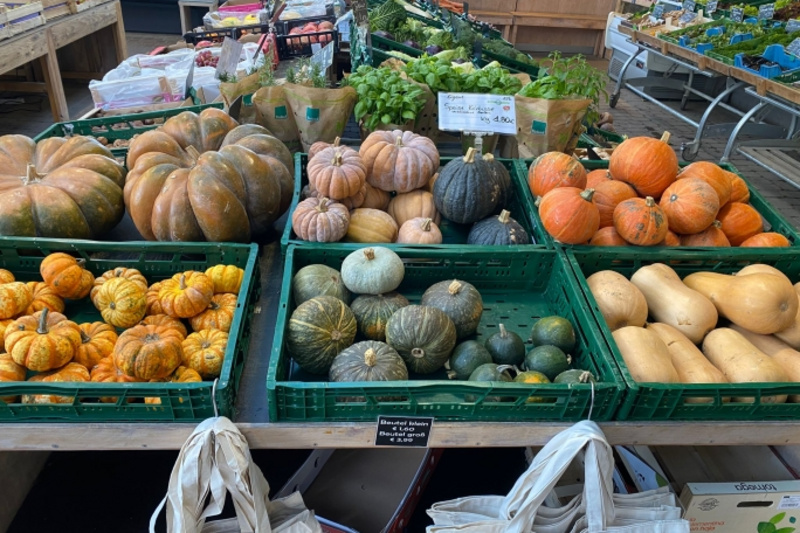 Ein Marktstand mit verschiedenen Kürbissorten und Zucchini. Die farbenfrohen Kürbisse sind in grünen Kisten angeordnet, während im Hintergrund frisches Obst und Gemüse zu sehen ist. Einige Einkaufsbeutel liegen auf dem Tisch. (Text KI generiert)