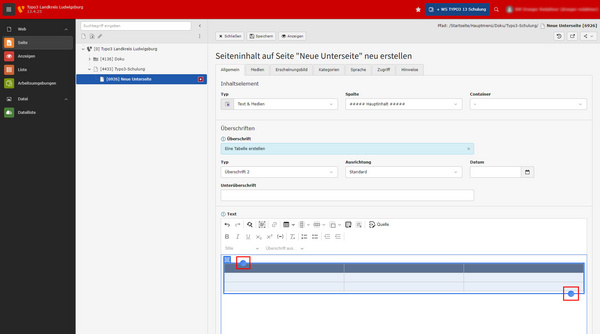 Screenshot einer Benutzeroberfläche zur Erstellung von Seiteninhalten. Links befindet sich eine Seitenleiste mit Optionen, rechts ein Formular zur Eingabe von Inhaltstyp und -details. Auf dem Formular sind Eingabefelder und Schaltflächen zur Bearbeitung der Inhalte sichtbar.