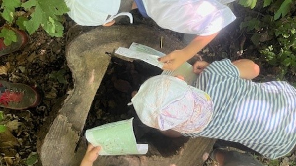 Eine Gruppe von Kindern beugt sich über einen Baumstamm im Wald. Sie untersuchen etwas darin und halten Karten oder Notizen in der Hand. Die Umgebung ist grün und bewaldet.