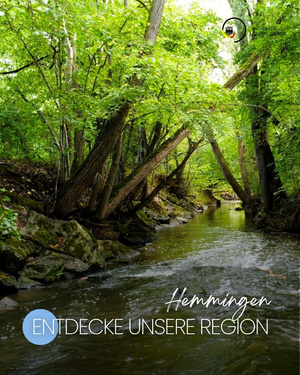 Entdecke unsere Region - 6 Ein ruhiger, bewaldeter Flusslauf mit dichtem, grünem Laub und alten Bäumen, die über das Wasser ragen. Im Vordergrund fließt das Wasser sanft, während die Umgebung eine friedliche, natürliche Szenerie darstellt. Text: "Hemmingen ENTDECKE UNSERE REGION". (Text KI generiert)
