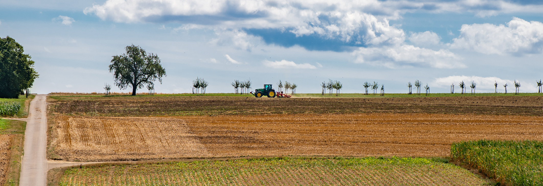 Header Bild: Eine weite Landschaft mit braunen Feldern und einem blauen Traktor, der auf einem Acker arbeitet. Im Hintergrund stehen Bäume und eine Wolkenlandschaft am Himmel. Ein Schotterweg führt durch das Bild.