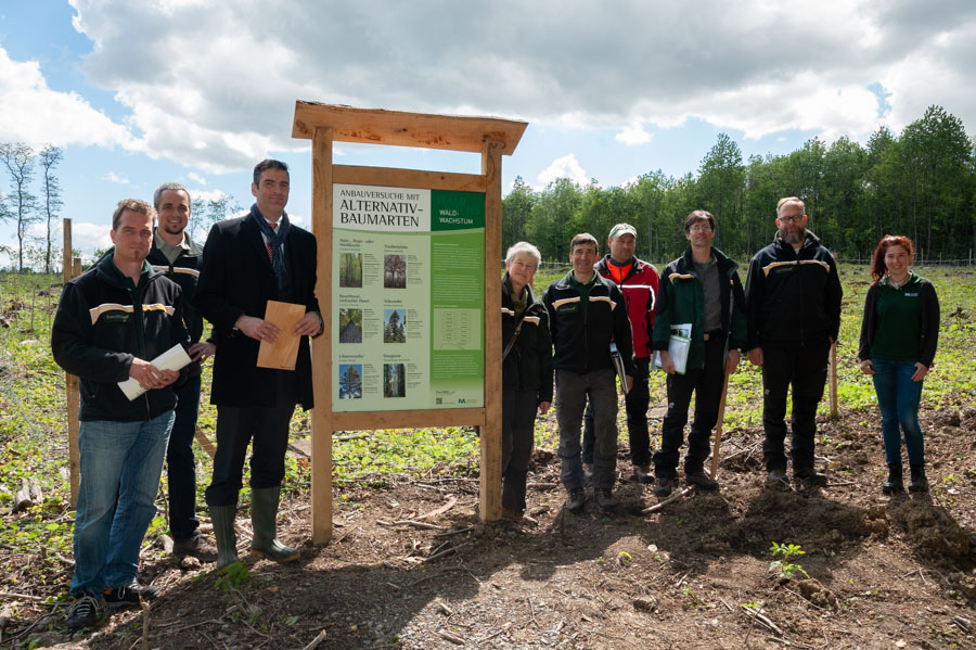 Eine Gruppe von neun Personen steht in einem Waldbereich vor einem großen Informationsschild mit dem Titel "Alternativbaumarten". Im Hintergrund sind Bäume und eine frische, grüne Landschaft zu sehen, die die umgebende Natur darstellen.