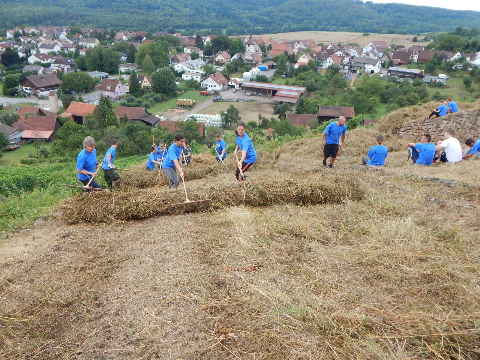 Eine Gruppe von Personen in blauen T-Shirts arbeitet im Freien auf einem Hügel. Sie sammeln und verarbeiten Gras oder Heu. Im Hintergrund sind eine Dorfansicht und eine grüne Landschaft zu sehen.