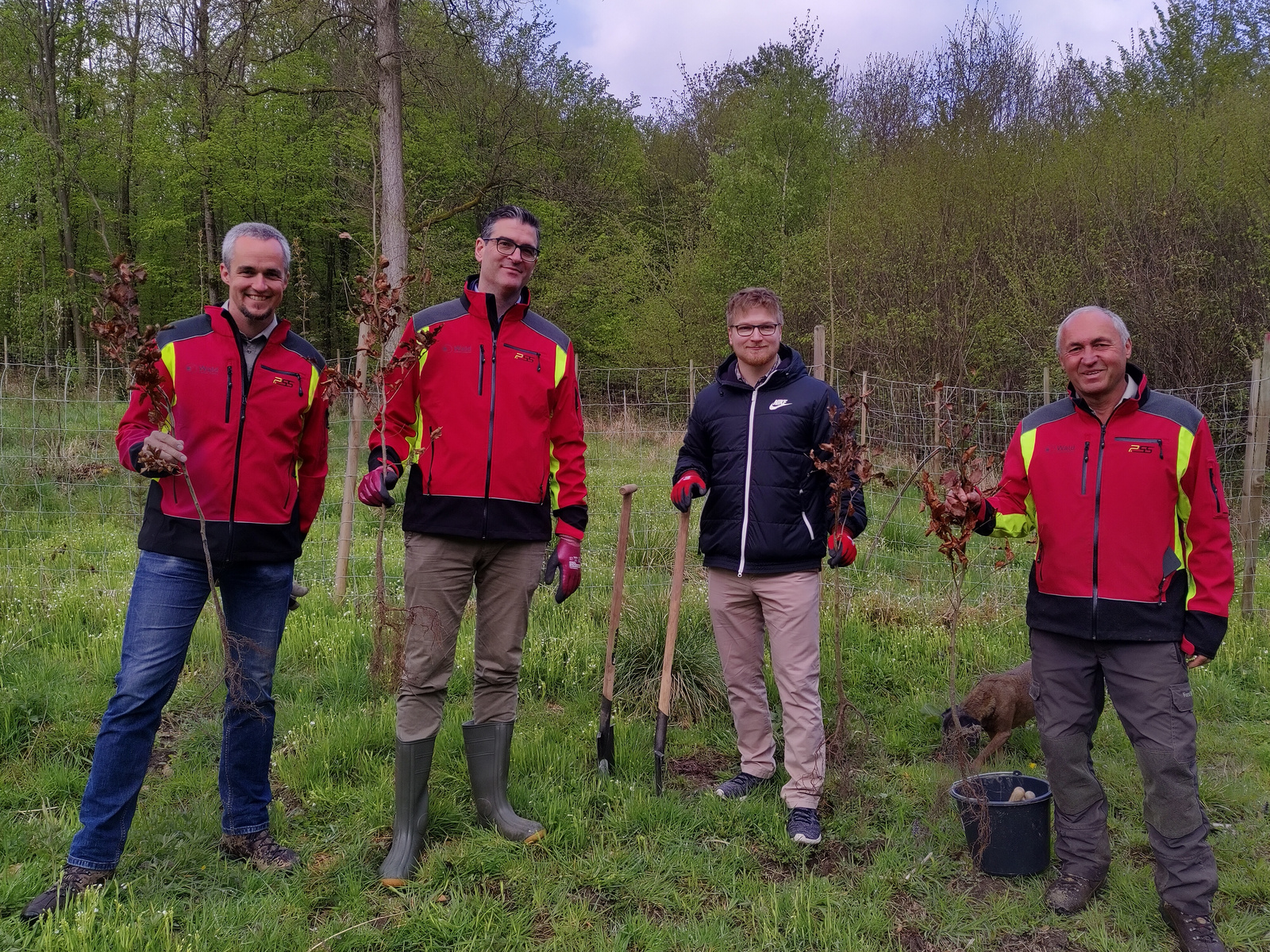 Vier Personen in roten Jacken stehen im Freien und halten Setzlinge in der Hand. Sie stehen auf einem grünen Feld, umgeben von Bäumen. Die Gruppe lächelt und posiert, bereit für eine Pflanzaktion. Ein Eimer und Werkzeuge liegen auf dem Boden.