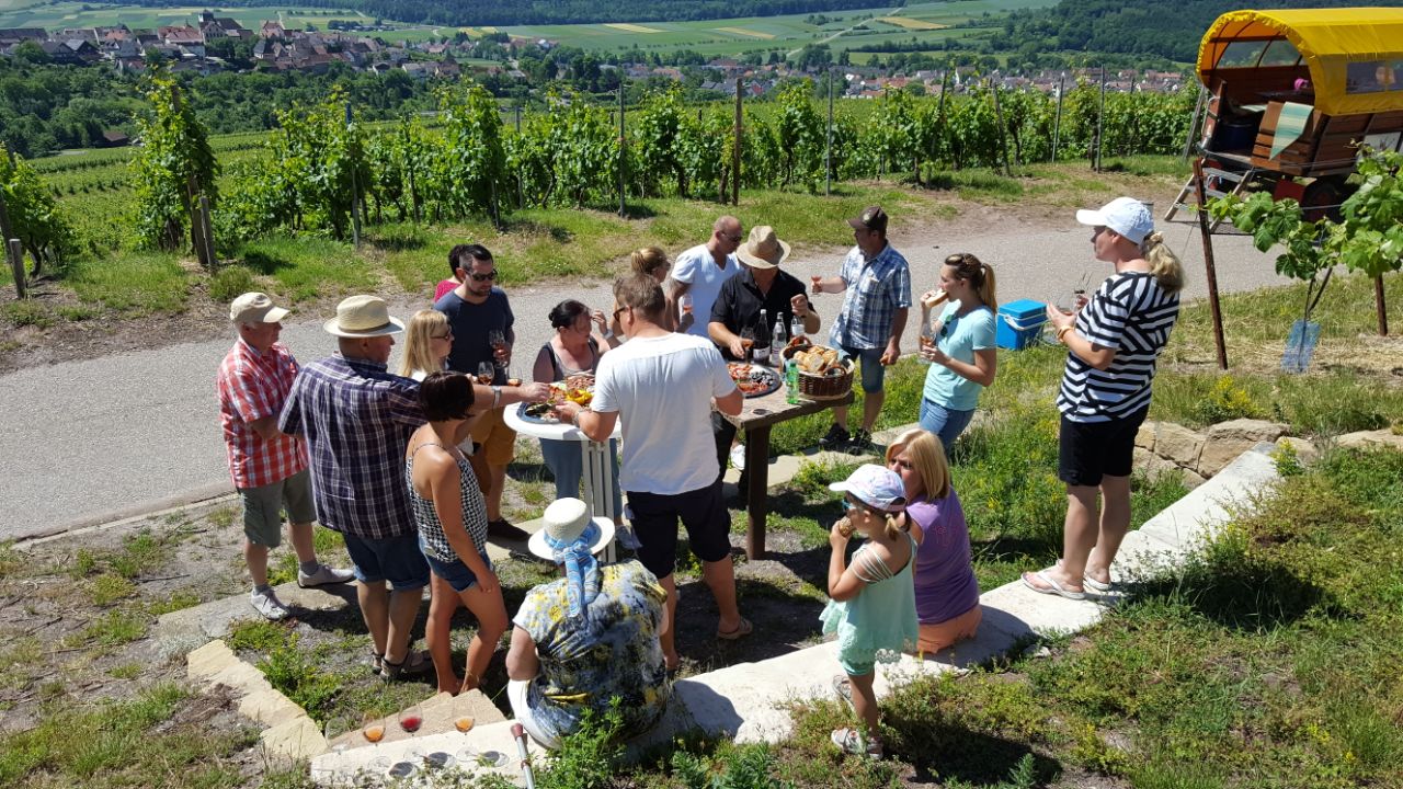 Un gruppo di persone si riunisce attorno a un tavolo all'aperto, in un vigneto. Sono sorridenti, alcuni bevono e mangiano. Sullo sfondo si vedono colline e vigne. È una giornata di sole, trasmettendo un'atmosfera di convivialità e convivialità.