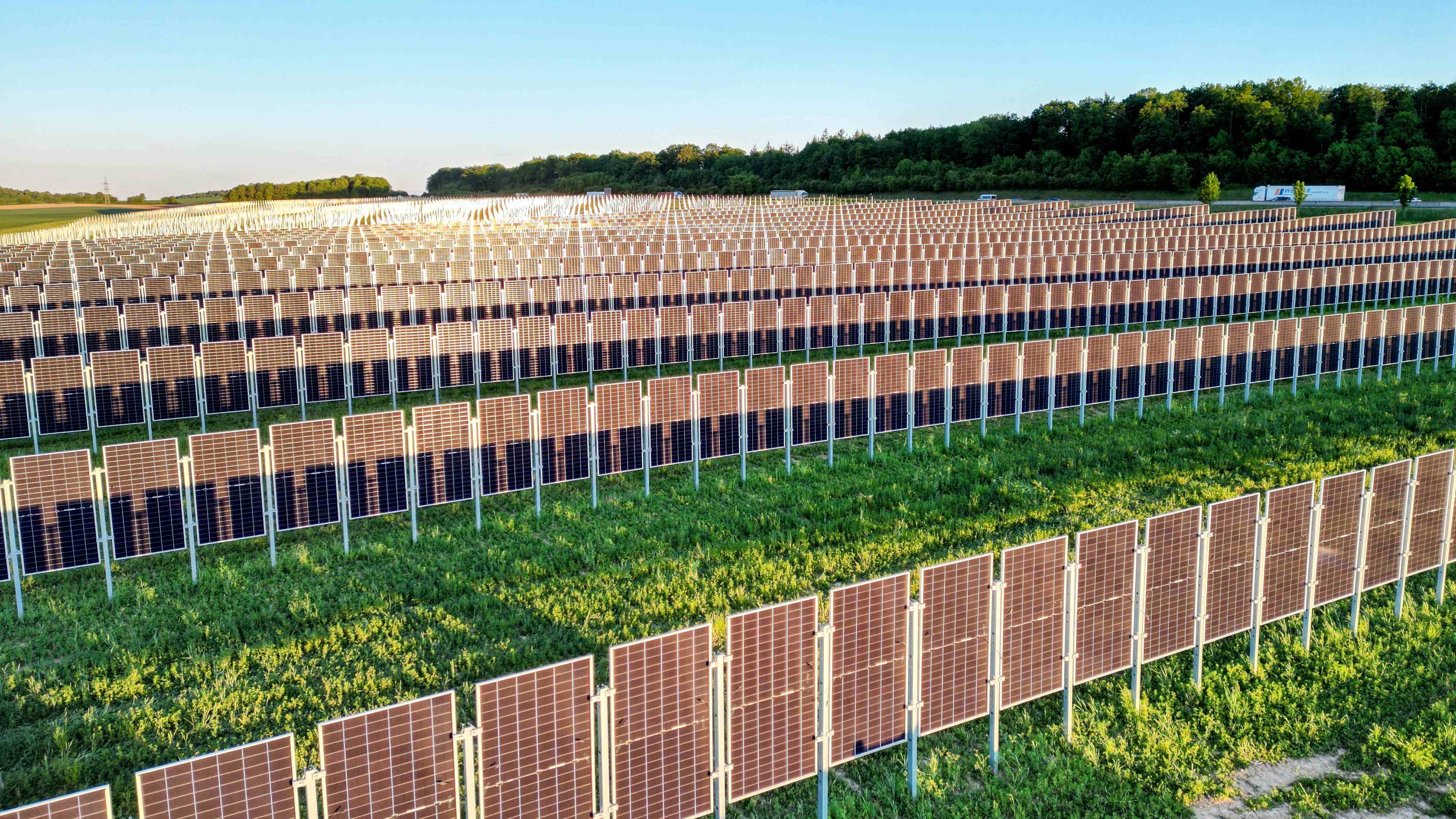Eine große Fläche mit zahlreichen Solarzellen, die in mehreren Reihen auf einem grünen Feld aufgestellt sind. Im Hintergrund sind Bäume und ein klarer Himmel zu sehen. (Text KI generiert)