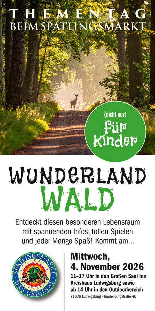 Ein Wald mit Sonnenstrahlen, die durch die Bäume scheinen. Im Vordergrund steht eine Person auf einem Weg. Der Text kündigt eine Veranstaltung namens "Wunderland Wald" an, die Kindern und Familien am 4. November 2026 besondere Infos und Spiele bietet. (Text KI generiert)