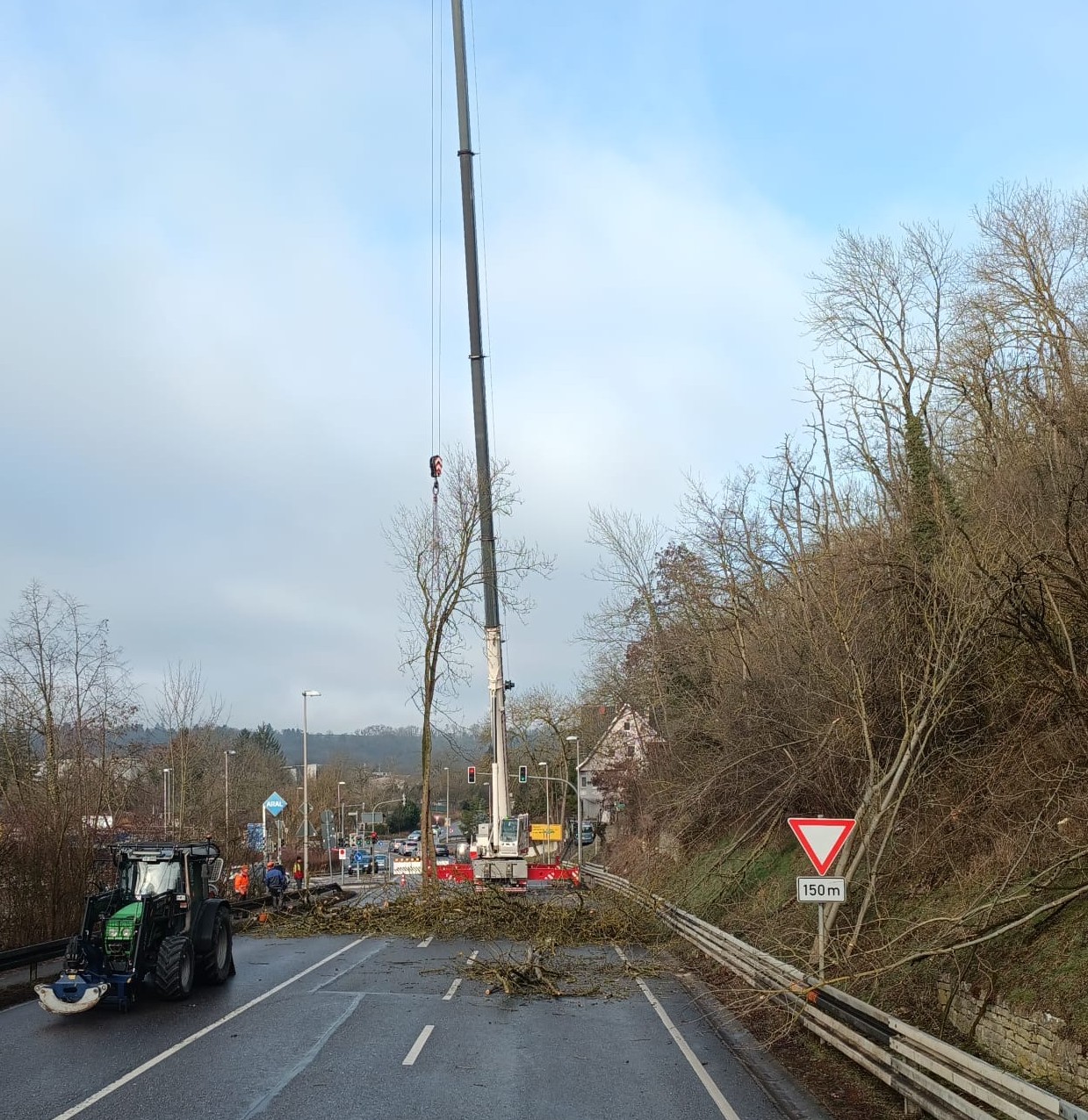 Auf der Straße wird ein Baum mit einem Kran gefällt. Ein Traktor steht in der Nähe. Im Hintergrund sind barren Bäume und ein paar Gebäude zu sehen. Die Verkehrszeichen weisen auf eine bevorstehende Gefahrenstelle hin.