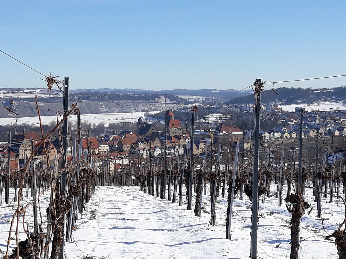 Ein Blick über verschneite Weinreben zu einem Dorf im Hintergrund. Die Weinfelder sind mit Schnee bedeckt, und im Hintergrund sind Häuser und eine Kirchturm sichtbar, umgeben von einer winterlichen Landschaft. Der Himmel ist klar und blau.