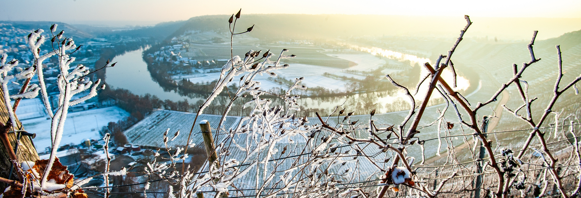 Eine frostige Landschaft mit schneebedeckten Weinhängen, die sich sanft zum Fluss hinab erstrecken. Die Morgensonne beleuchtet die Szenerie, während vereiste Zweige im Vordergrund sichtbar sind. Der Blick vermittelt ein Gefühl von Kühle und natürlicher Schönheit.