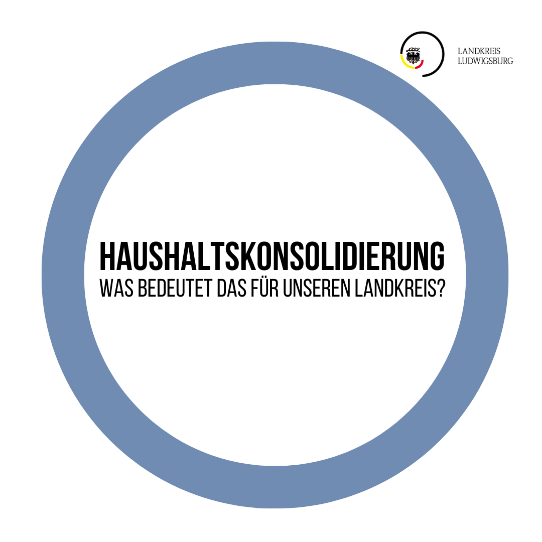 Text: "Die Grafik beschäftigt sich mit dem Thema Haushaltskonsolidierung und stellt die Frage, was dies für den Landkreis Ludwigsburg bedeutet."